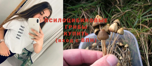 spice Алзамай