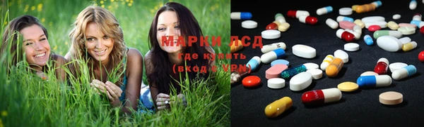 spice Алзамай