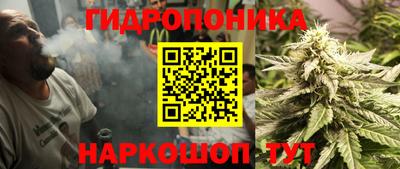 ешки Новокубанск