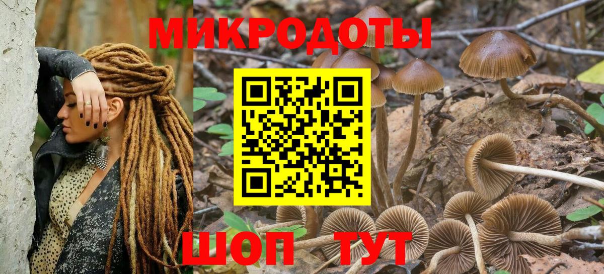Морозовск  Псилоцибиновые грибы Psilocybe  Вход с VPN  Псилоцибиновые грибы мицелий 